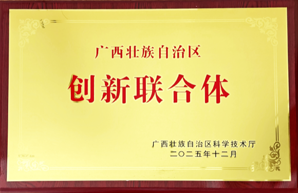 广西壮族自治区创新联合体